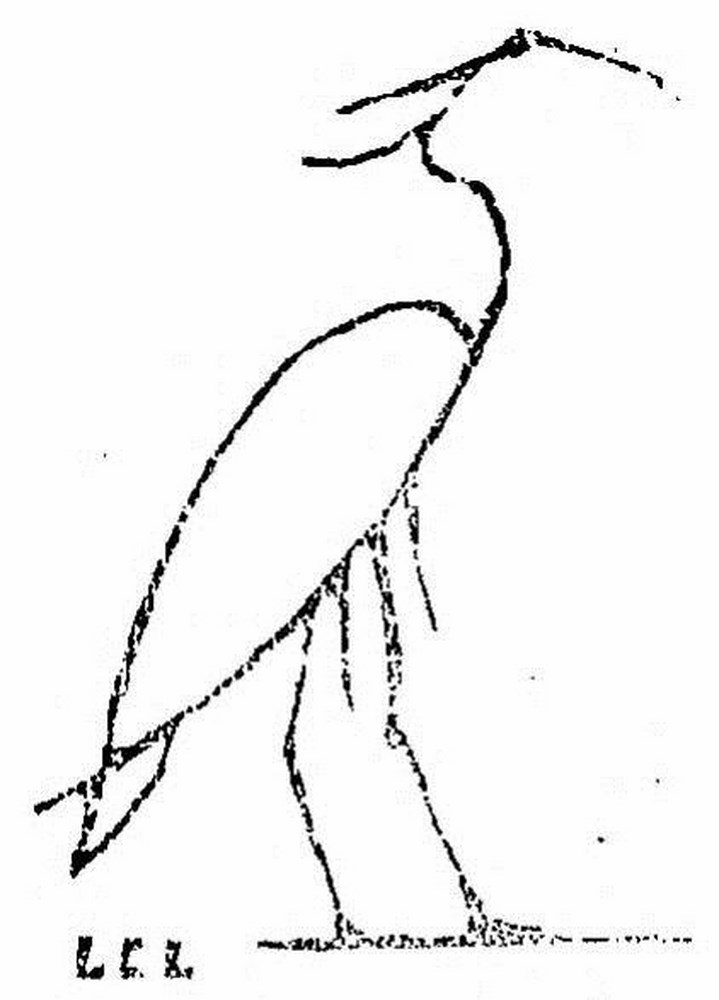 Fig.2 - Le Phénix stylisé des documents égyptiens. Rituel des Morts. Ch.88