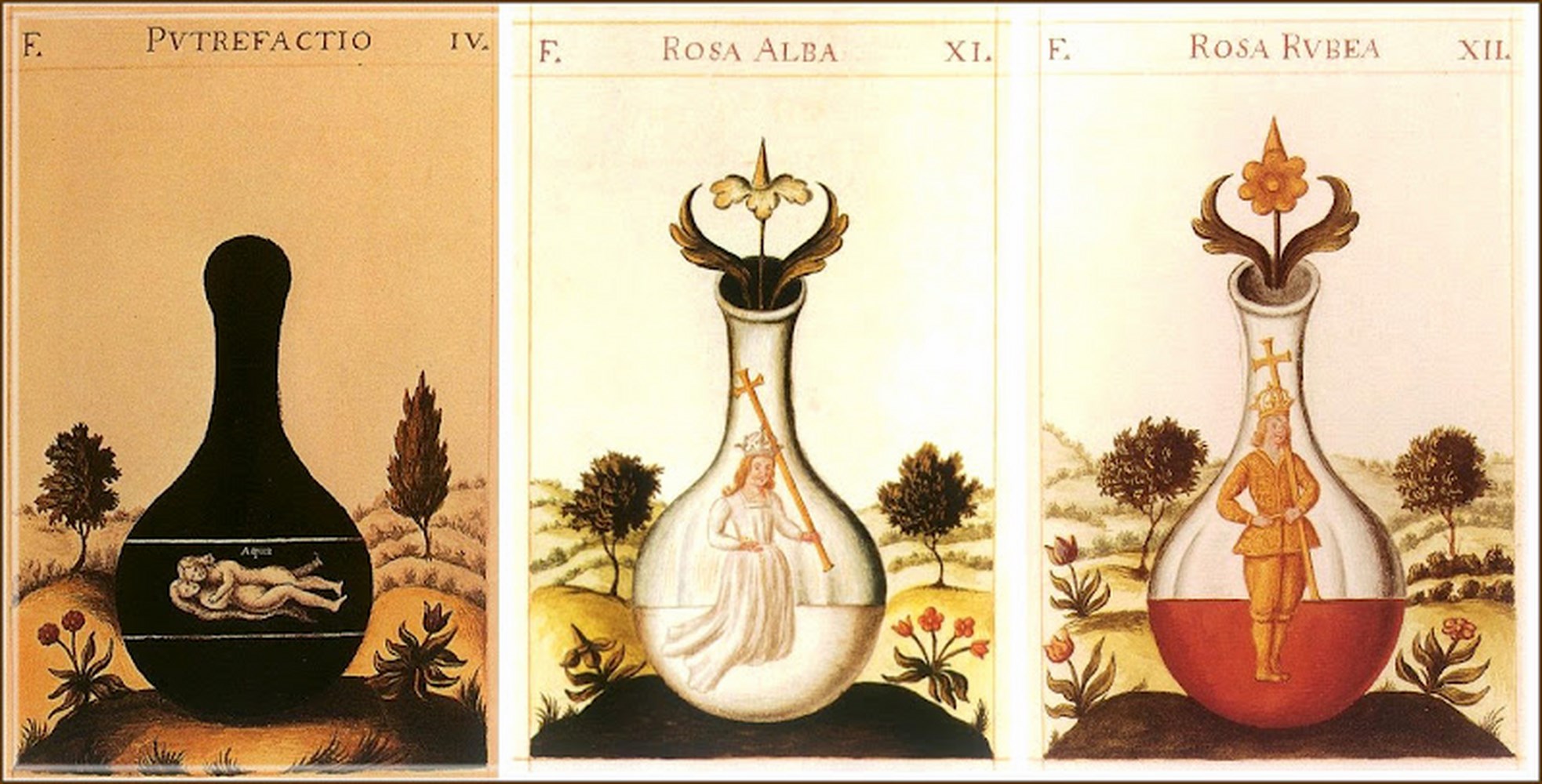 Nigredo - Albedo - Rubedo (Noire, Blanche et Rouge) : Les trois principales phases de l’Opus qui correspondent au Corbeau, Paon et Phénix.