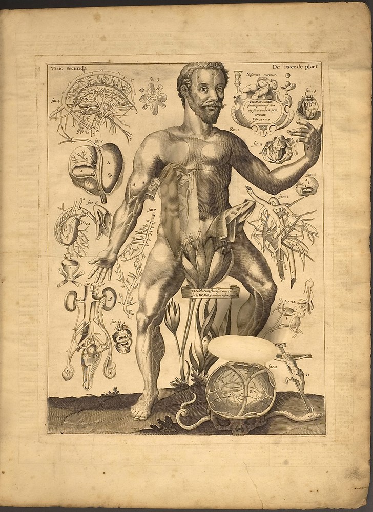 Illustration de Johann Remmelin - Anatomiste du XVII° siècle