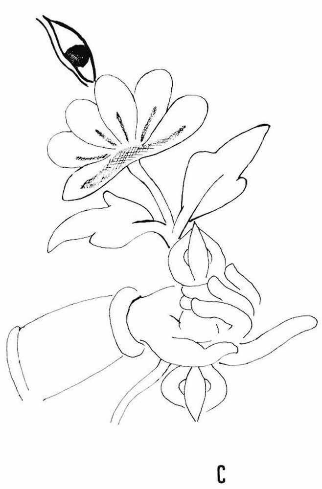 Fig. 6. C. détail du « lotus à œil » d’Amoghadarsin d’après le deuxième dessin de la fig.5 ; XVIIIe s., dessin de Muriel Thiriet.