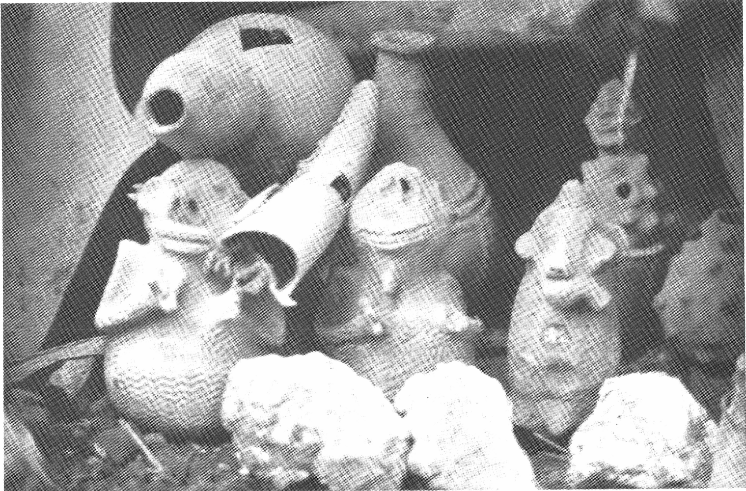 Figurines du sanctuaire de Nodza